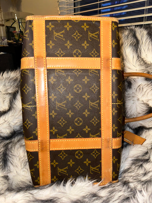 Louis Vuitton Pet Carrier
