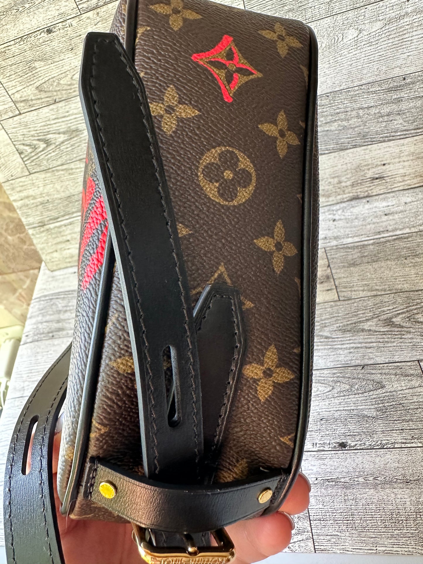 Louis Vuitton rare Valentine crossbody