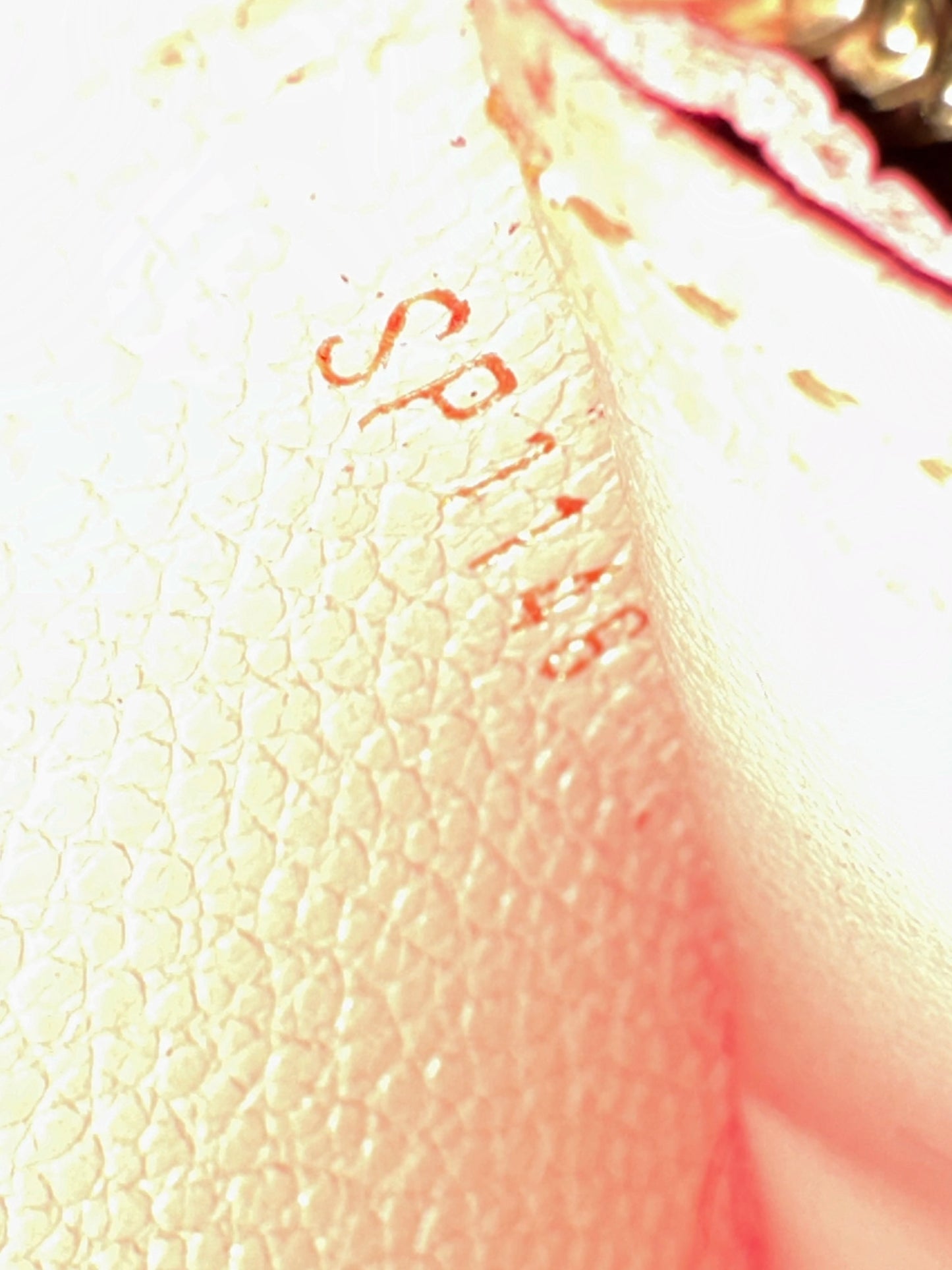 Louis Vuitton empreinte zippy wallet