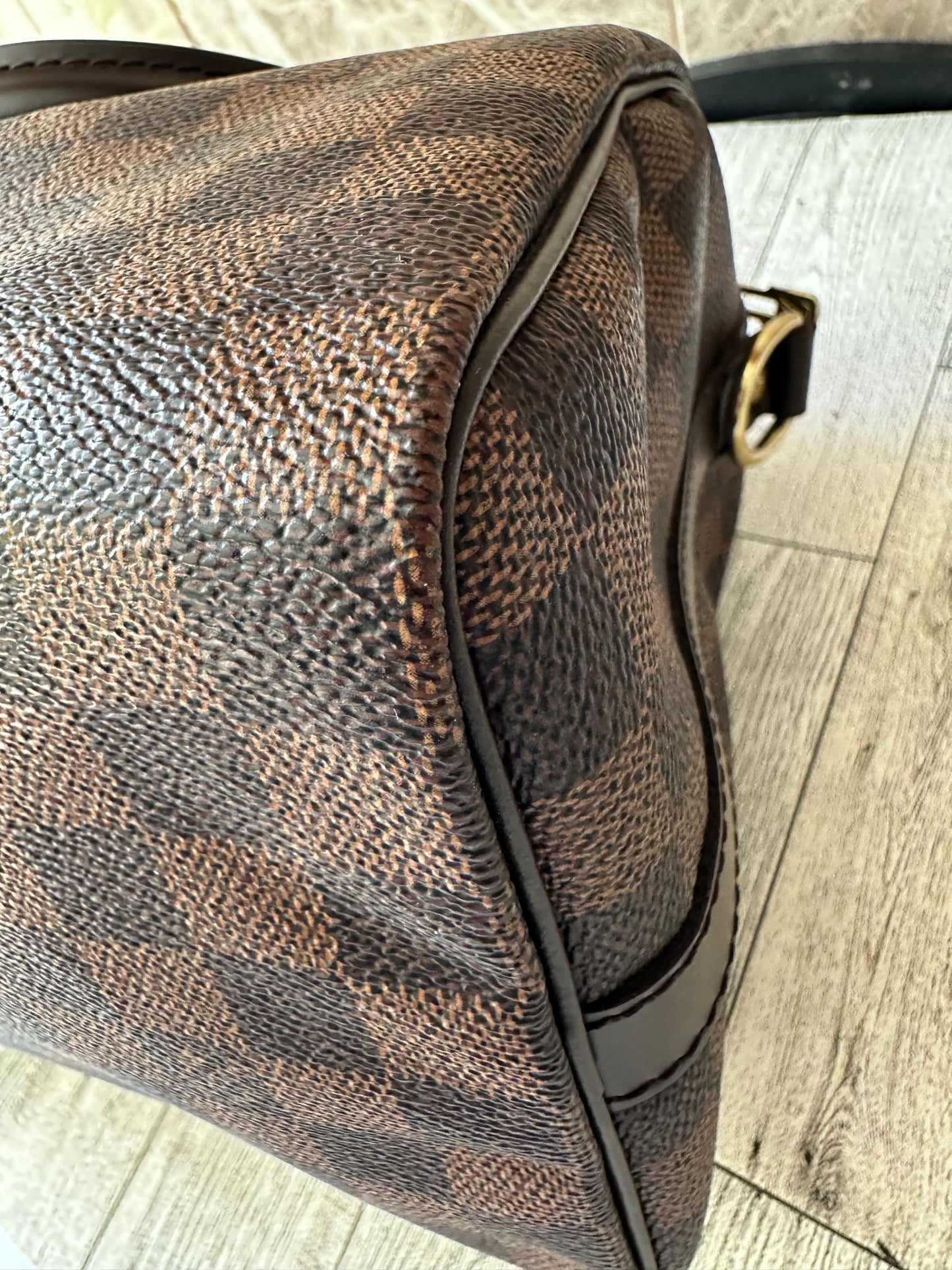 Louis Vuitton Speedy 25 bandolier