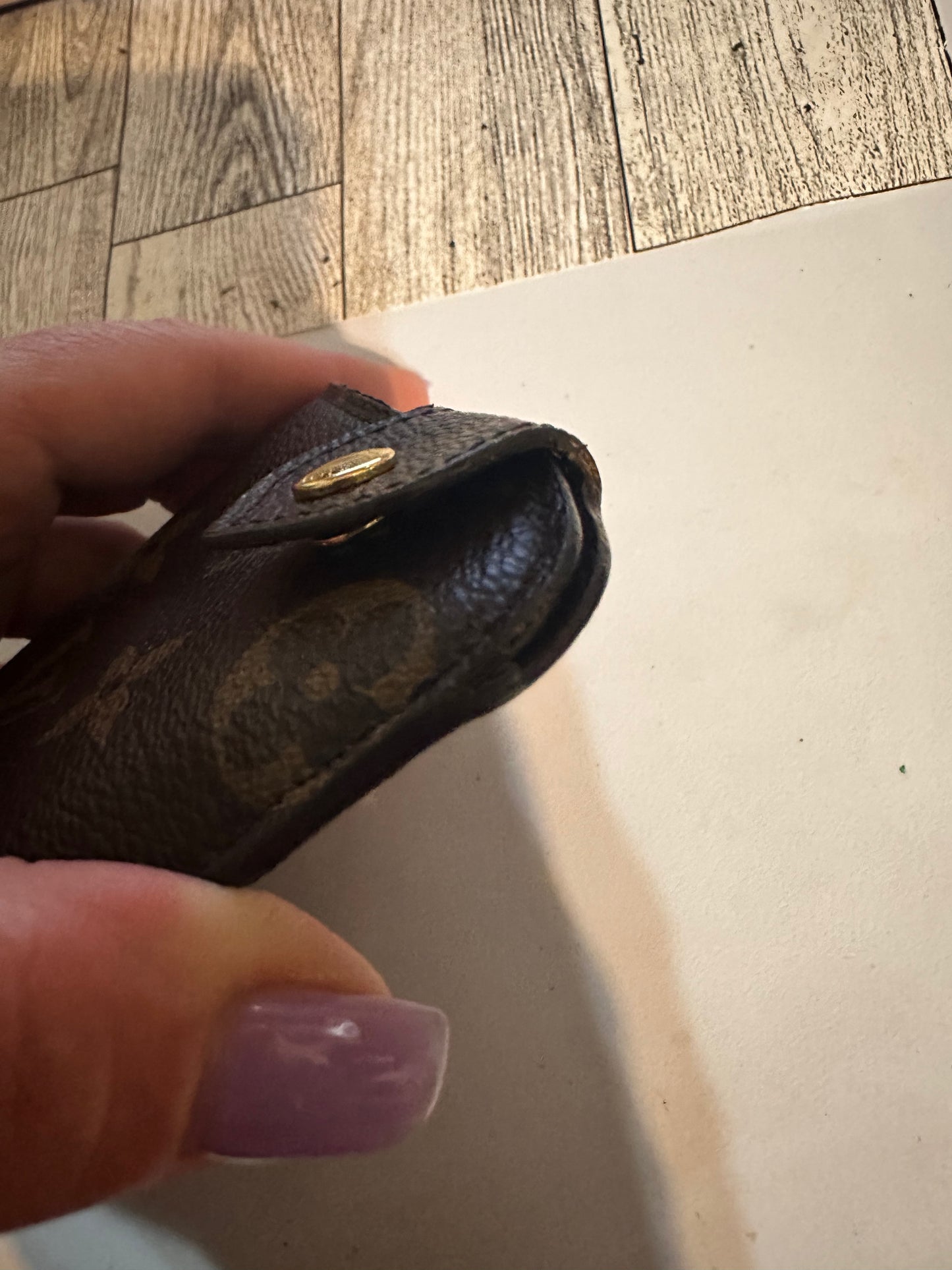 Louis Vuitton Glasses case with snap