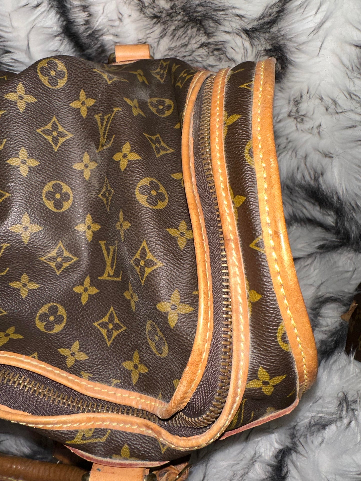 Louis Vuitton Pet Carrier