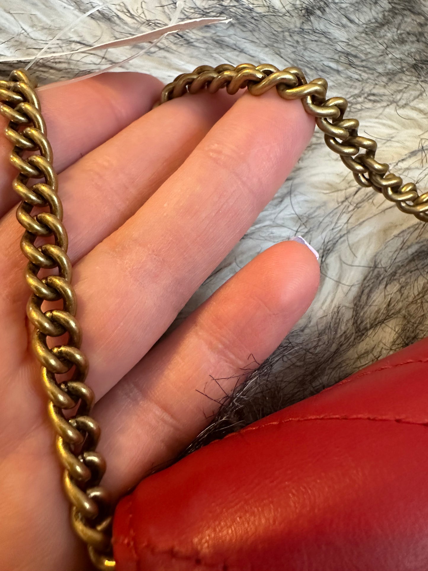 Gucci Mormont coin purse