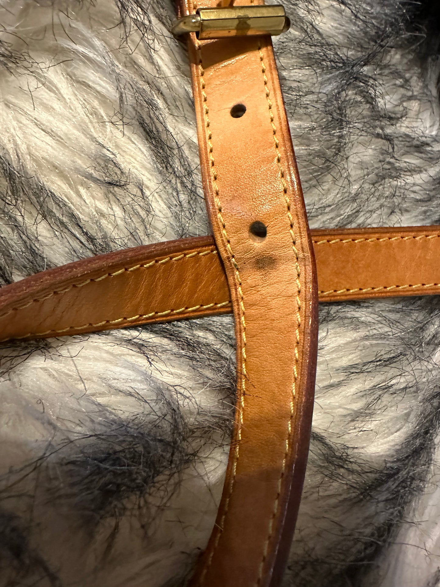 Louis Vuitton Speedy 25 Bandolier