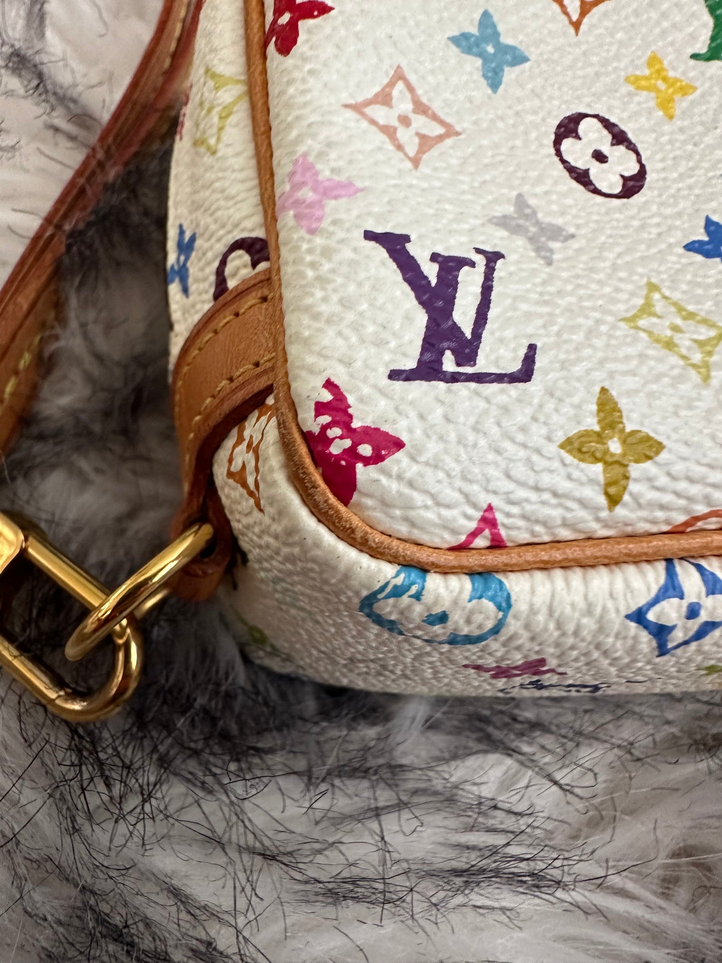 Louis Vuitton wapity multicolor