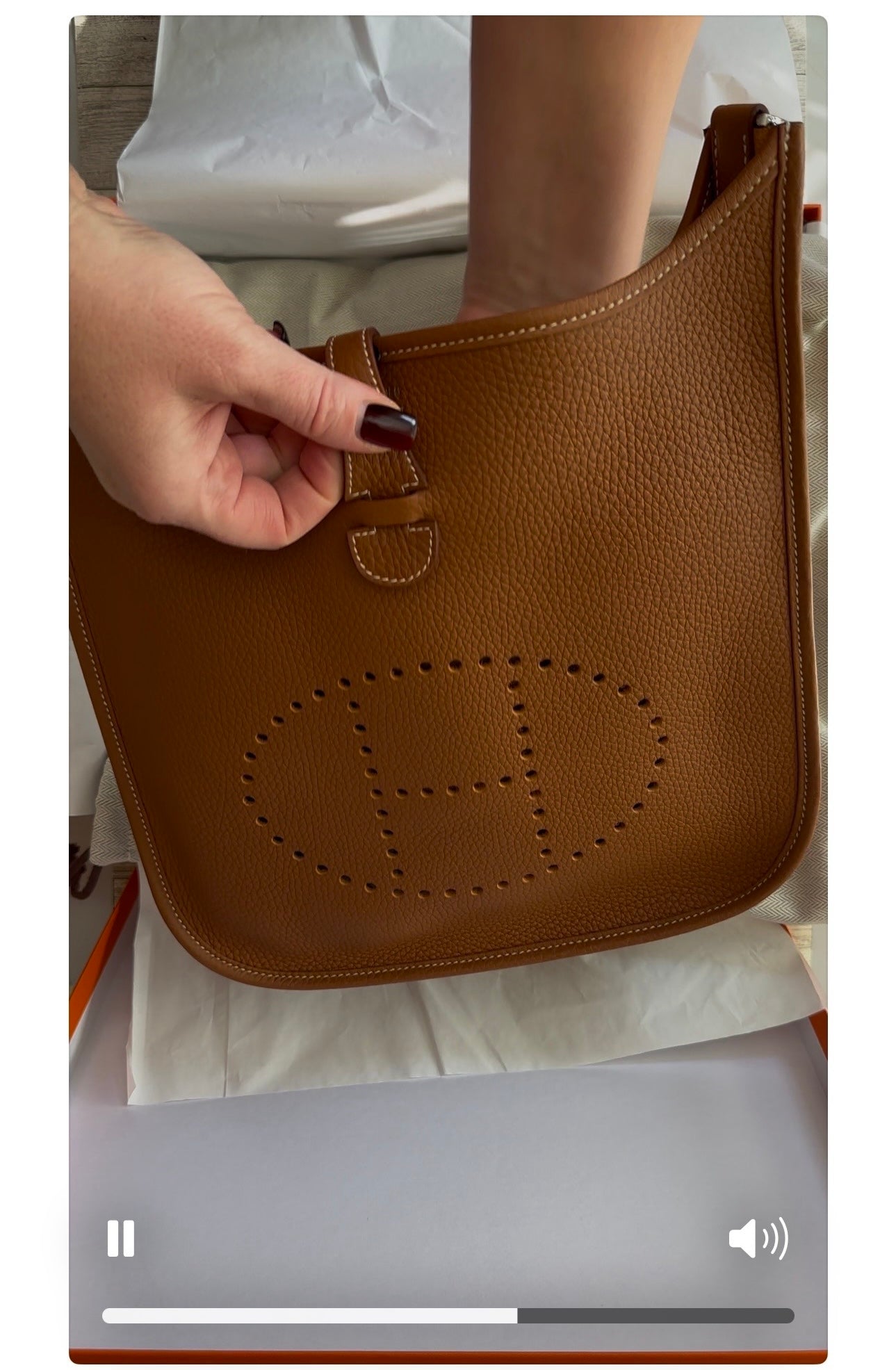 Hermes Calvi and Evelyn bundle