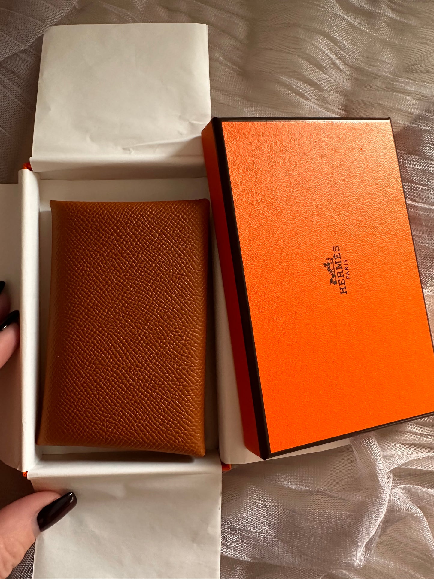 Hermes Calvi and Evelyn bundle