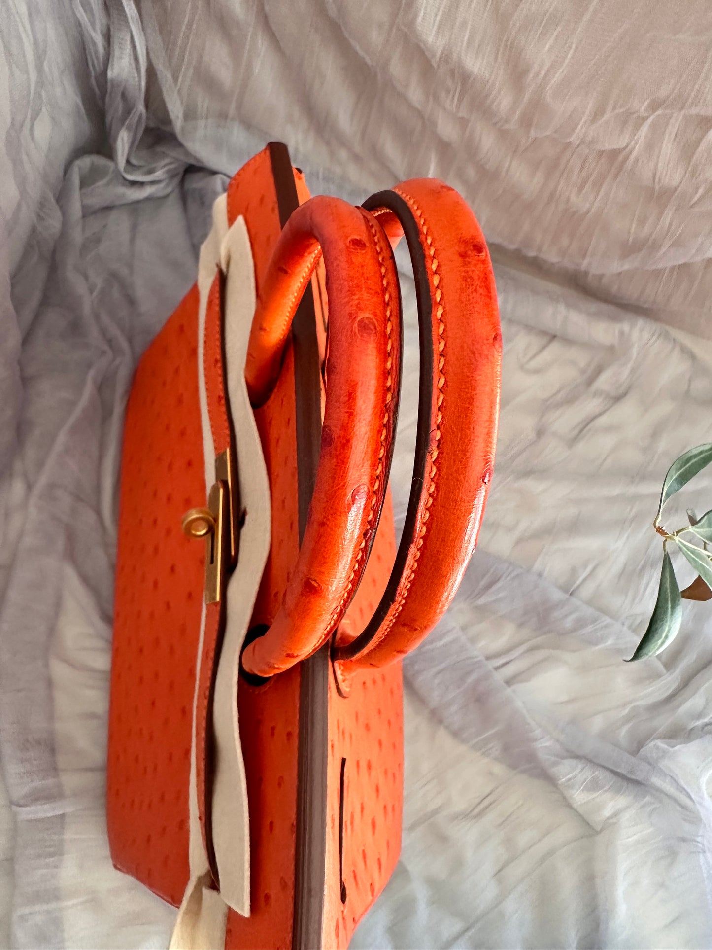 Hermes Birkin 30 Ostrich