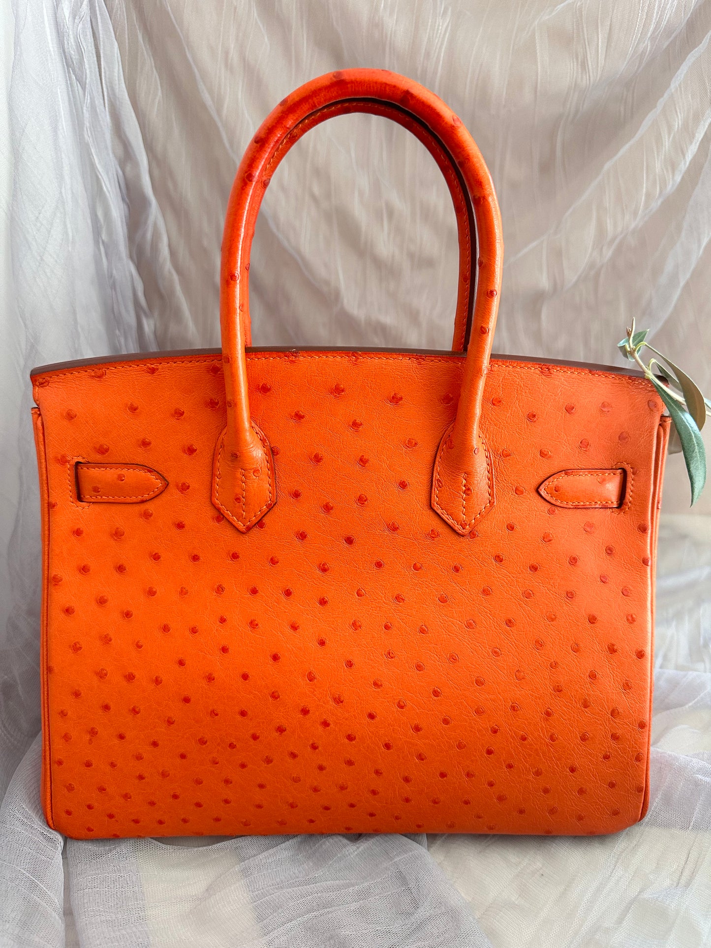 Hermes Birkin 30 Ostrich