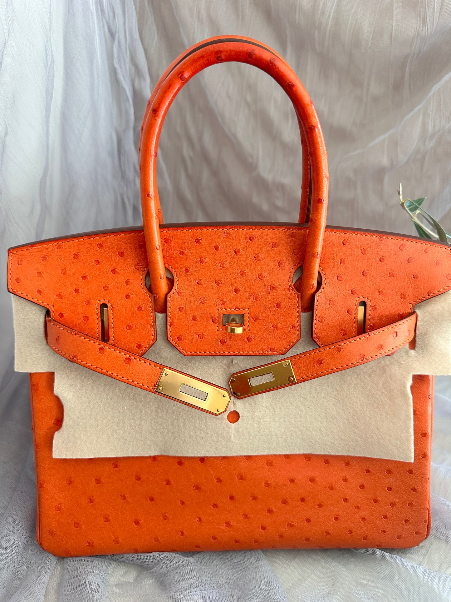 Hermes Birkin 30 Ostrich