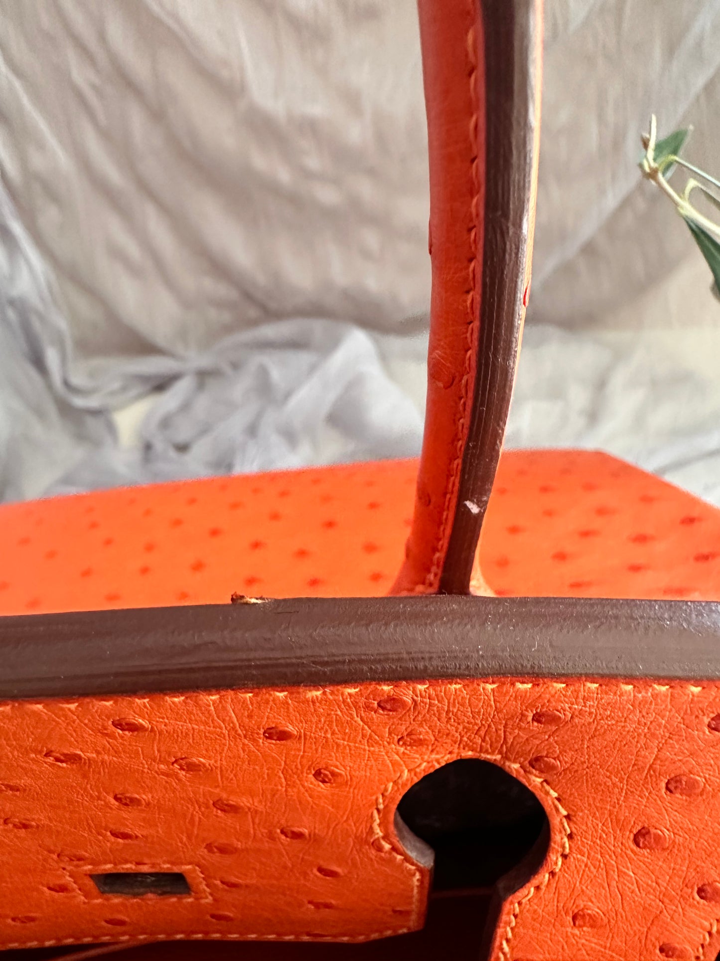 Hermes Birkin 30 Ostrich