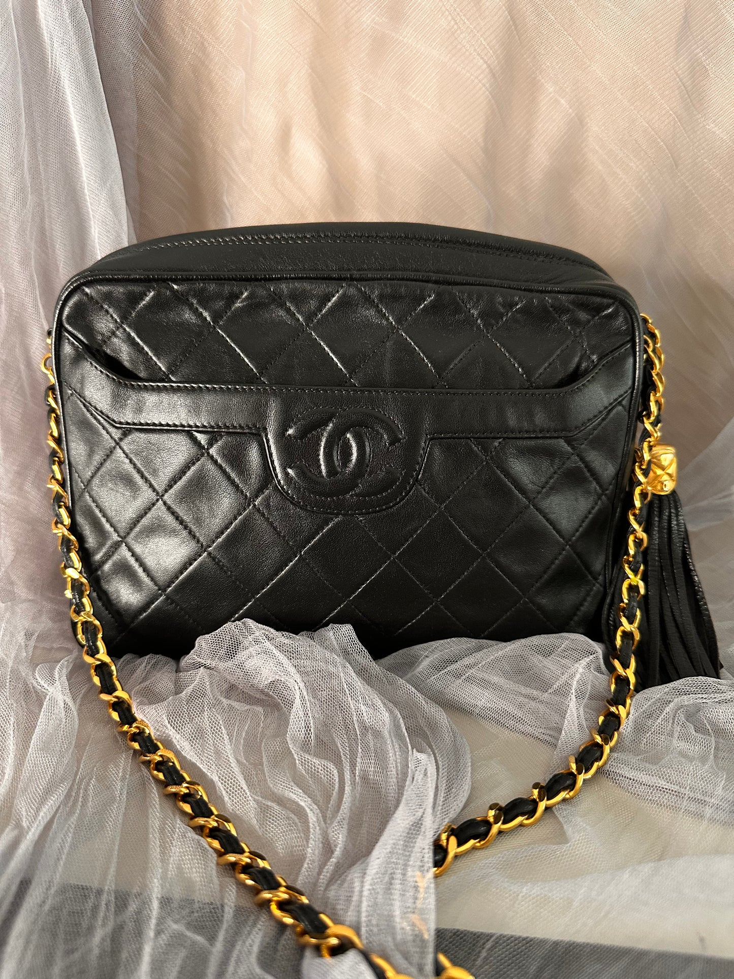 Chanel camera bag