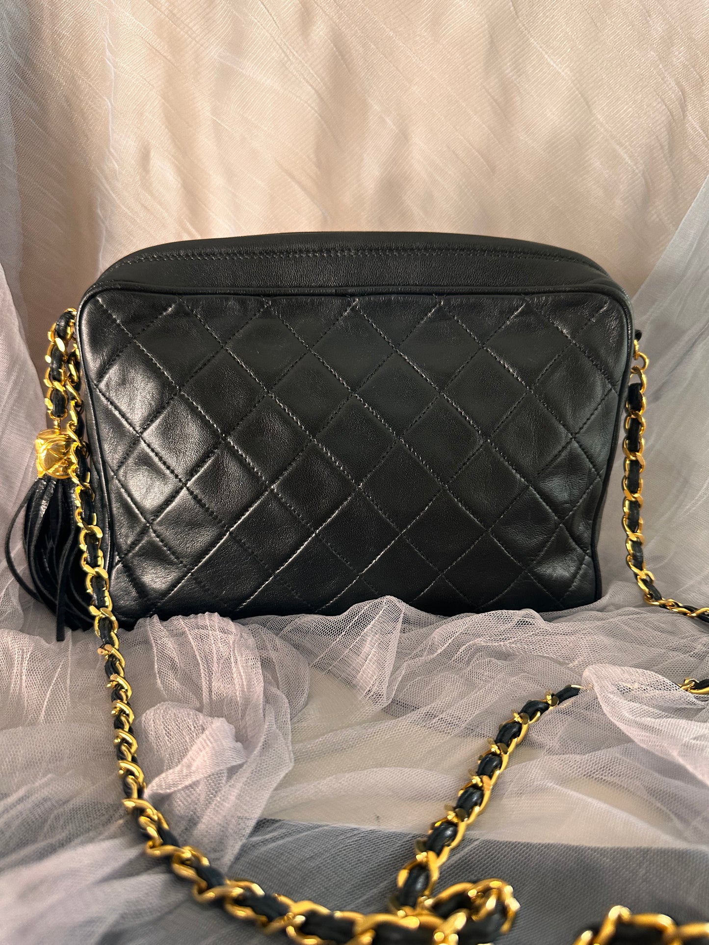 Chanel camera bag